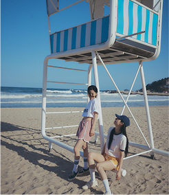 LOOK BOOK